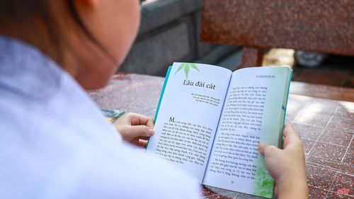 Mẹ dạy tôi rằng, “một cuốn sách hay cũng như người bạn bên mình mỗi ngày”. Vì thế, khi đọc xong, tôi thường giữ lại những cuốn sách để có thể đọc lại khi cần.