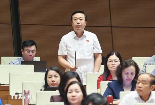 Đại biểu Quốc hội tỉnh Hưng Yên Nguyễn Đại Thắng phát biểu. (Ảnh: Doãn Tấn/TTXVN)