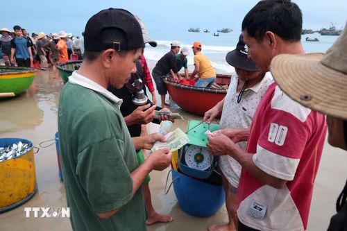 Ngư dân bán hải sản đánh bắt được sau mỗi chuyến biển đêm. (Ảnh: Xuân Quý/TTXVN)