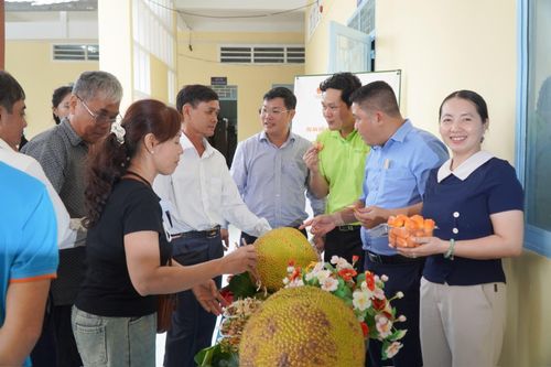 Dự án giới thiệu phát triển thương hiệu “Mít ruột đỏ Cái Ngang”. Ảnh: BTC