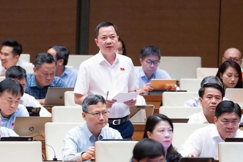 ĐBQH Trịnh Xuân An (Ảnh: Media Quốc hội).