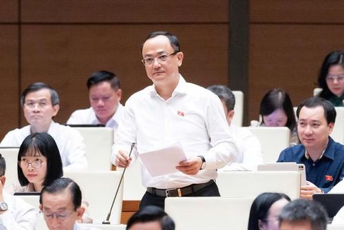 ĐBQH Nguyễn Ngọc Sơn (Ảnh: Media Quốc hội).