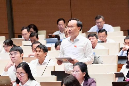ĐBQH Phạm Văn Thịnh (Ảnh: Media Quốc hội).