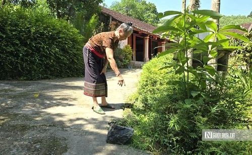 Cục đá sau vụ nổ mìn từ trên núi lăn xuống vẫn nằm tại ngõ nhà bà Tiên.
