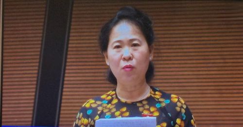 Đại biểu Tô Ái Vang (Đoàn Cần Thơ). Ảnh: Thu Hằng/Bnews.vnanet.vn