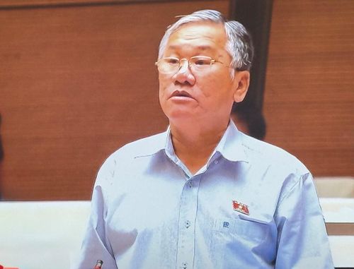 Đại biểu Trịnh Ngọc Phương (Đoàn Tây Ninh). Ảnh: Thu Hằng/Bnews/vnanet.vn