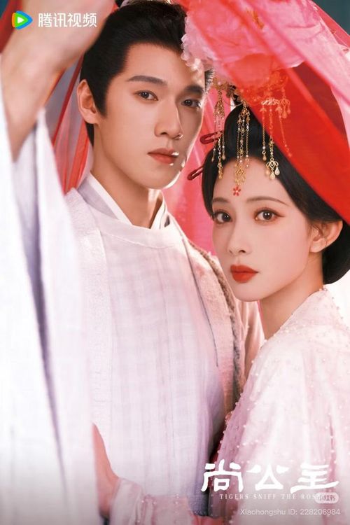Mạnh Tử Nghĩa và Lý Quân Nhuệ sẽ tái hợp trong Thượng Công Chúa. Ảnh: Weibo