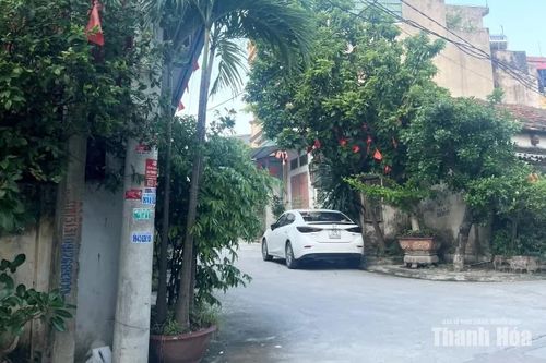 Gia đình đặt các chậu cây to ngay khúc cua trước cửa nhà, ở vị trí giao với ngõ 40 đường Trương Hán Siêu.