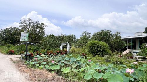 Mô hình vườn sinh thái trái cây kết hợp du lịch trải nghiệm thu hút du khách.