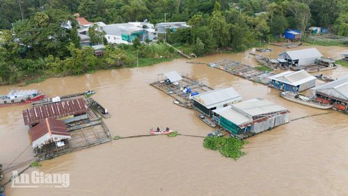 Bè nuôi thủy sản dọc tuyến sông ven cù lao mang lại nguồn thu nhập ổn định cho người dân địa phương.​