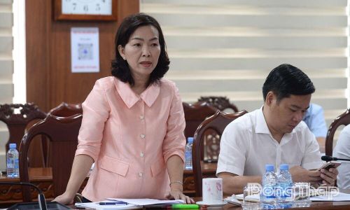 Đại diện các đơn vị phát biểu tại buổi làm việc.