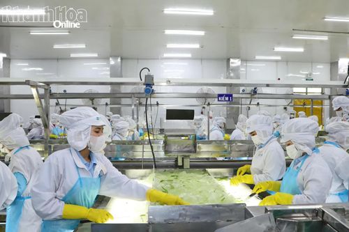 Công nhân Công ty Cổ phần Thực phẩm Cánh Đồng Việt trong giờ làm việc.