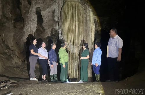 Đoàn khảo sát các nhũ đá, hình khối trong hang động Ngải Phóng Chồ.