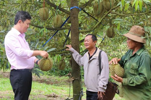 Tín dụng chính sách trên địa bàn Lâm Đồng đạt nhiều kết quả