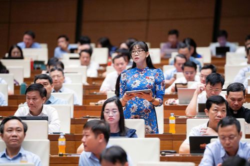 Đại biểu Trịnh Thị Tú Anh, Đoàn ĐBQH tỉnh Lâm Đồng phát biểu tại phiên thảo luận