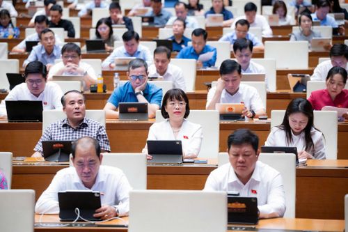 Các đại biểu tham dự