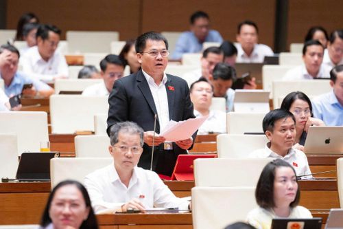 Đại biểu Dương Khắc Mai, Phó Trưởng Đoàn ĐBQH tỉnh Lâm Đồng phát biểu tại phiên thảo luận