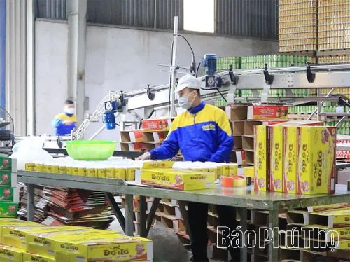Chi nhánh Công ty CP Tập đoàn Minh Trung Việt Nam - Khu công nghiệp Lương Sơn (xã Lương Sơn) chuyên sản xuất, chế biến các sản phẩm thương hiệu cháo Bát Bảo Minh Trung.