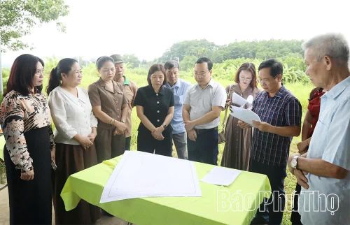 Phó Chủ tịch UBND tỉnh Phùng Thị Kim Nga và đoàn công tác khảo sát tại Di tích lịch sử - văn hóa cấp tỉnh Đình Cả ở Tổ dân phố số 10, phường Tân Hòa.
