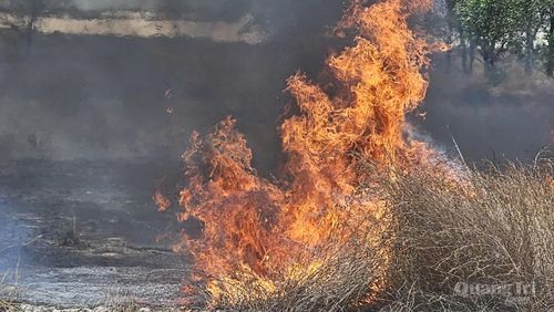 Thảm thực vật khô, dày làm ngọn lửa bùng phát nhanh - Ảnh: Phan Khiêm
