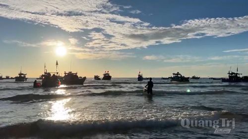 Sau mỗi chuyến vươn khơi, những mẻ hải sản tươi ngon được đưa vào bờ - Ảnh: L.T