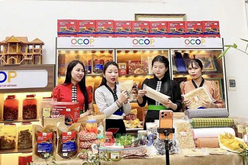 Ủy ban MTTQ Việt Nam xã Gia Phù tổ chức phiên Livestream bán hàng nông sản địa phương.