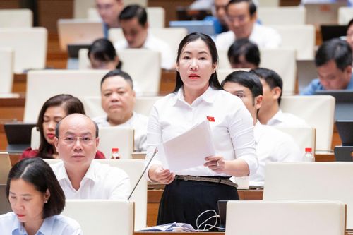 Đại biểu Lê Văn Đông (đoàn TP.HCM) và đại biểu Trần Thị Thu Phước (đoàn Quảng Ngãi). Ảnh: Media Quốc hội.