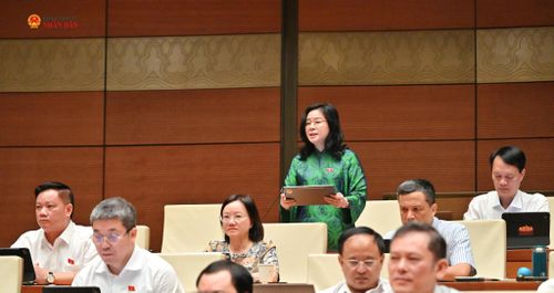 ĐBQH Lê Thị Hoài Chung (Nghệ An) phát biểu. Ảnh: Quang Khánh