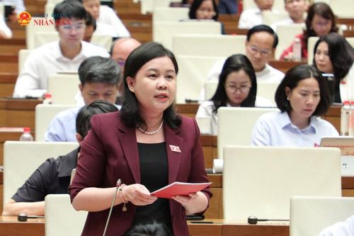 ĐBQH Nguyễn Phương Thủy (Hà Nội) phát biểu. Ảnh: Khánh Duy