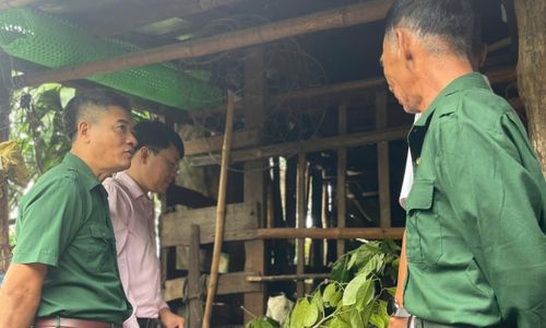 Gia đình CCB Vũ Hoàng Ba ở xã Krông Nô vay vốn thuộc chương trình cho vay hộ gia đình sản xuất, kinh doanh vùng khó khăn đầu tư vào chăn nuôi dê.