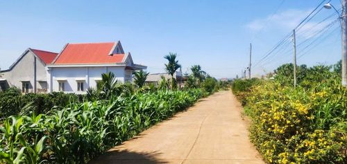 Sử dụng hiệu quả nguồn vốn chính sách, nhiều CCB đã vươn lên làm giàu chính đáng, đóng góp tích cực vào sự phát triển chung của Lâm Đồng.