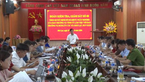 Phó Chủ tịch HĐND tỉnh Lã Hoài Nam phát biểu tại buổi làm việc với BTV Đảng ủy 2 xã Bảo Lạc và Huy Giáp.