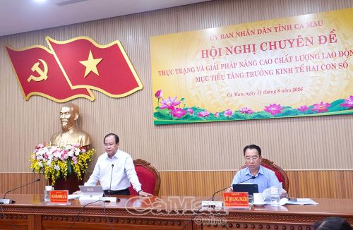 Đồng chí Nguyễn Minh Luân, Uỷ viên Ban Thường vụ Tỉnh uỷ, Phó Chủ tịch UBND tỉnh phát biểu tại hội nghị.