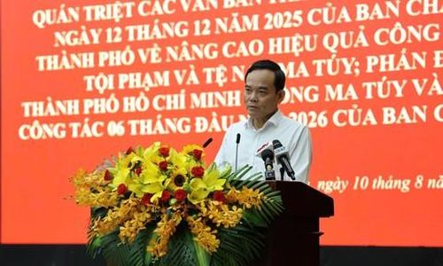Bí thư Thành ủy TPHCM Trần Lưu Quang - Trưởng Ban chỉ đạo 26 Thành phố phát biểu