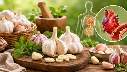 Củ tỏi được ứng dụng trong nhiều bài thuốc chữa các chứng cảm lạnh, đầy bụng, tiêu hóa kém, mụn nhọt và một số bệnh ngoài da. Ảnh AI.