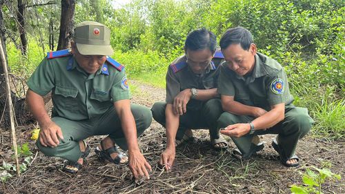 Lực lượng quản lý, bảo vệ rừng kiểm tra thực địa, đánh giá tình hình để kịp thời xử lý các nguy cơ phát sinh. (Ảnh: Trung Ngãi)