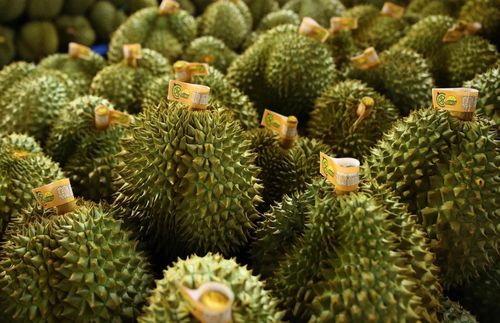  Sầu riêng đóng góp lớn vào kim ngạch xuất khẩu rau quả Việt Nam sang Trung Quốc. Ảnh: Phạm Ngôn.