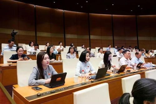 Quốc hội tiếp tục thảo luận về các vấn đề quan trọng. Ảnh: Media Quốc hội.