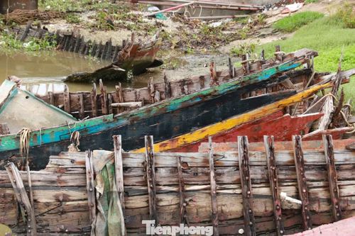 Ông Trần Thanh Giáp - Phó Chủ tịch UBND xã Diễn Châu - cho biết chính quyền địa phương đã thông báo, yêu cầu các chủ tàu có trách nhiệm tự di dời phương tiện cũ nát ra khỏi khu vực neo đậu. Đối với những phương tiện không xác định được chủ, địa phương sẽ lập phương án xử lý, cưỡng chế theo quy định. "Địa phương sẽ kết hợp với 2 dự án nạo vét luồng lạch của tỉnh đang triển khai để từng bước giải phóng các phương tiện, xác tàu tồn đọng, tạo không gian thông thoáng cho tàu thuyền neo đậu và ra vào Lạch Vạn”, ông Giáp cho hay.