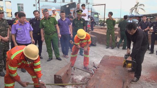 Ngà voi được giấu trong lô hàng nhập khẩu từ Cộng hòa Congo về Việt Nam.