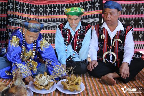 Trong những lễ hội, vòng kết nanh heo là trang sức không thể thiếu trên trang phục của các già làng, người có uy tín.