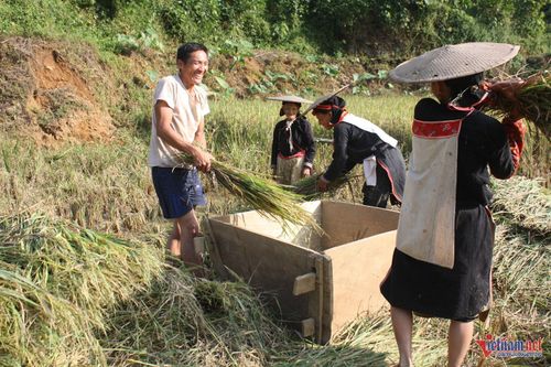 Cần đổi mới căn bản công tác đào tạo nghề, trong đó có việc nâng cao kỹ thuật sản xuất nông nghiệp. Ảnh: Trọng Bảo