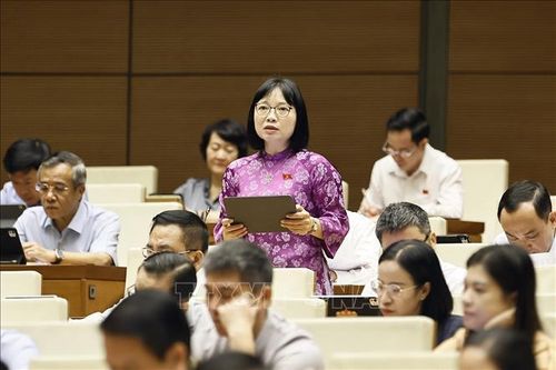 Đại biểu Quốc hội TP Hải Phòng Nguyễn Thị Việt Nga phát biểu. Ảnh: Doãn Tấn/TTXVN