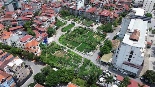 Toàn cảnh Dự án khu nhà ở Đồng Khí Tượng (hay được gọi là Sau Thuần), phường Võ Cường, tỉnh Bắc Ninh được đưa vào kế hoạch kiểm tra, xử lý, giải quyết khiếu nại, tố cáo đang được tỉnh tập trung giải quyết. Ảnh minh họa: Thái Hùng/TTXVN