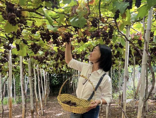 Chương trình khảo sát tạo cơ sở hình thành các tuyến du lịch mới, thúc đẩy trao đổi khách hai chiều giữa TP Hồ Chí Minh và các địa phương.