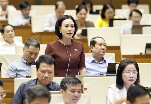 Đại biểu Quốc hội tỉnh Ninh Bình Trần Thị Hồng Thanh phát biểu. Ảnh: Doãn Tấn/TTXVN