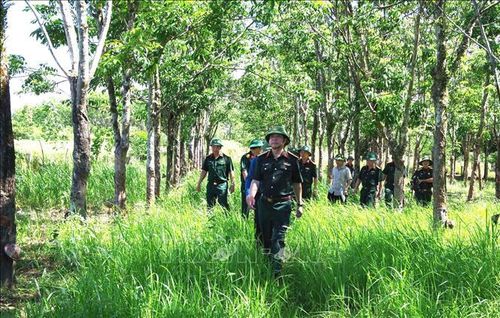 Các đại biểu nghiên cứu, khảo sát thực địa ở khu vực Cồn Tiên. Ảnh: TTXVN phát