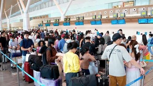 Đánh giá nhu cầu đi lại dịp lễ tăng cao, các hãng hàng không Việt Nam đã tăng tải cung ứng số chỗ ngồi, chuyến bay cả nội địa và quốc tế.