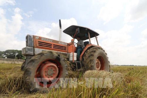 Máy cuộn rơm, thu gom rơm rạ trên đồng sau thu hoạch. Ảnh: Hồng Thái - TTXVN