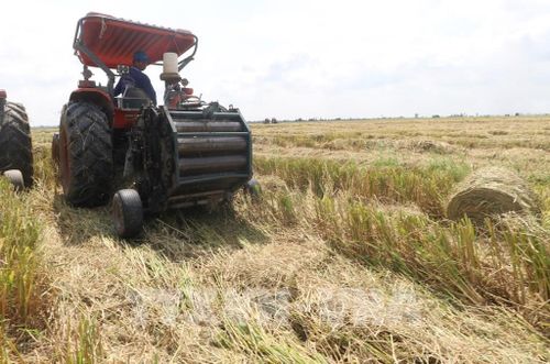 Máy cuộn rơm thu gom rơm rạ trên đồng sau thu hoạch. Ảnh: Hồng Thái - TTXVN